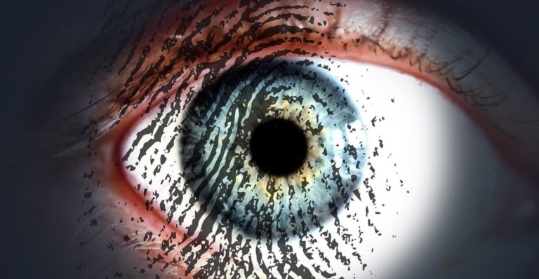 Understand the critical role of ethical hackers in cybersecurity. Discover how they protect against identity theft and fraud.